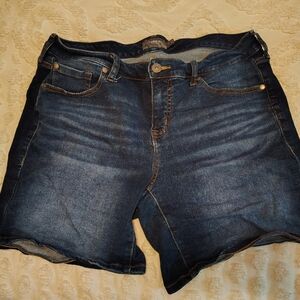Torrid Shorts